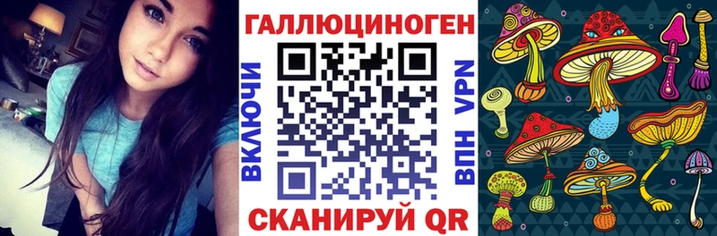 blacksprut рабочий сайт  Куртамыш  площадка наркотические препараты  Галлюциногенные грибы MAGIC MUSHROOMS 
